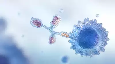 Teplizumab Therapie