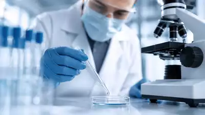 Fortschritte in der Immuntherapie